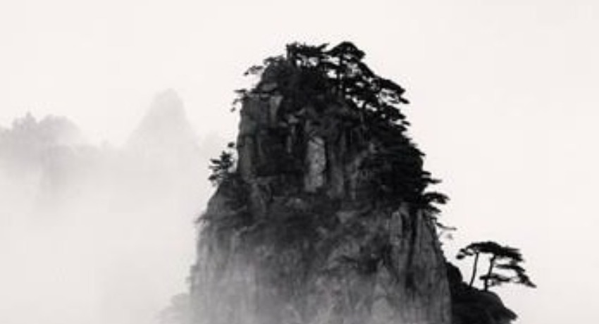 案例精选 - 呦呦视频在线播放 - 高口碑品牌合作案例集锦平台