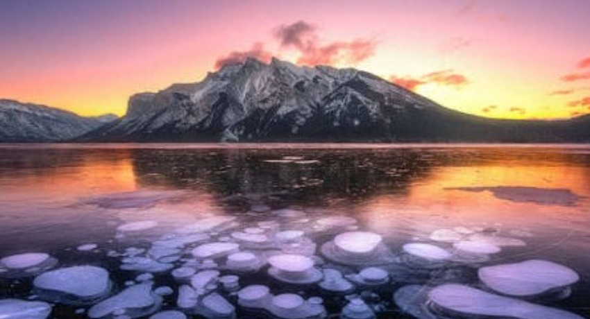 关于我们 - 呦呦视频app - 我们的初心 用内容创造影响力